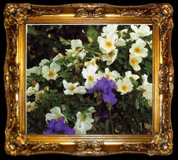 framed  unknow artist Still life floral, all kinds of reality flowers oil painting  383, ta009-2